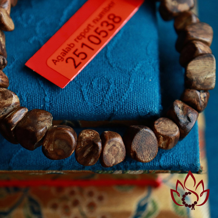 Vòng Trầm Hương Hạt Thô | Trầm Bì Rễ Tự Nhiên